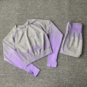Women Yoga Set Running Seamless Gym Leggings + top Sport Suit Sportswear High Waist Fitness Legging Workout Yoga Suit AJISSI