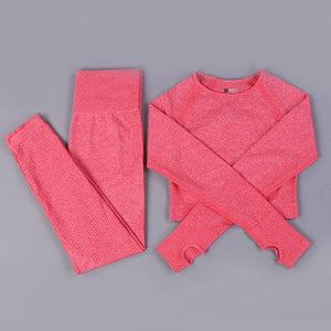 Women 2pcs Seamless Yoga Set Sport Suit Gymwear Workout Clothes Long Sleeve Gym Crop Top High Waist Leggings Fitness Sports Wear
