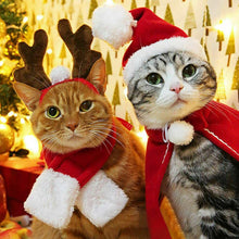 Load image into Gallery viewer, 1pcs Cat Clothes Pet Warm Hat Scarf Dog Cat Socks Stripe Knitted Puppy Costume Clothes Cat Costume Dog Costume