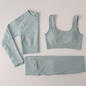 Peeli Ribbed Seamless Yoga Set Sport Suit Workout Clothes for Women Long Sleeve Gym Crop Top High Waist Leggings Fitness Set